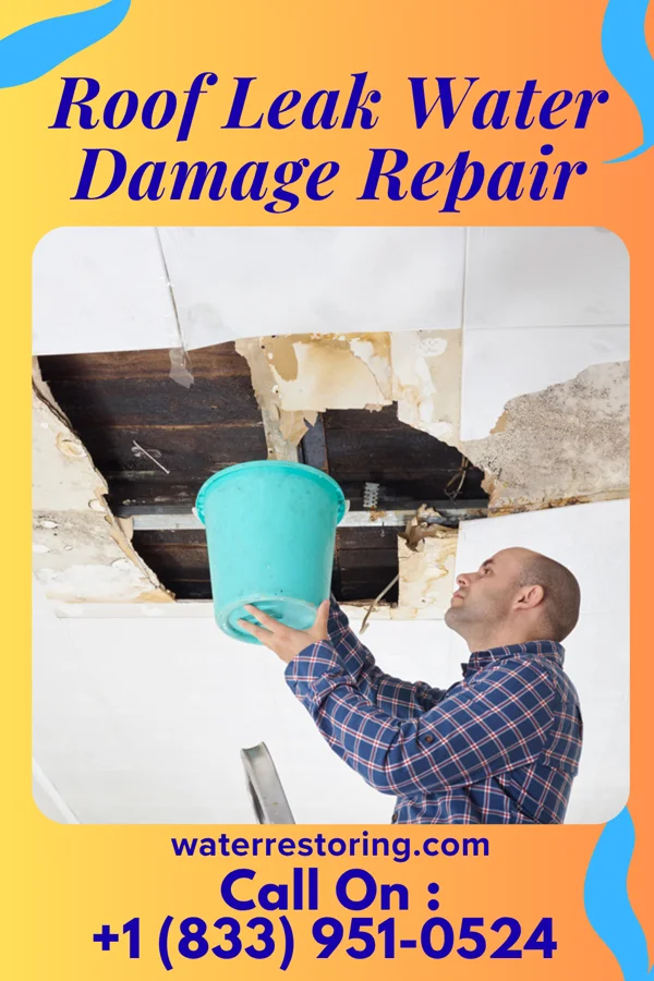 Roof Leak Water Damage Repair in Yale, KS